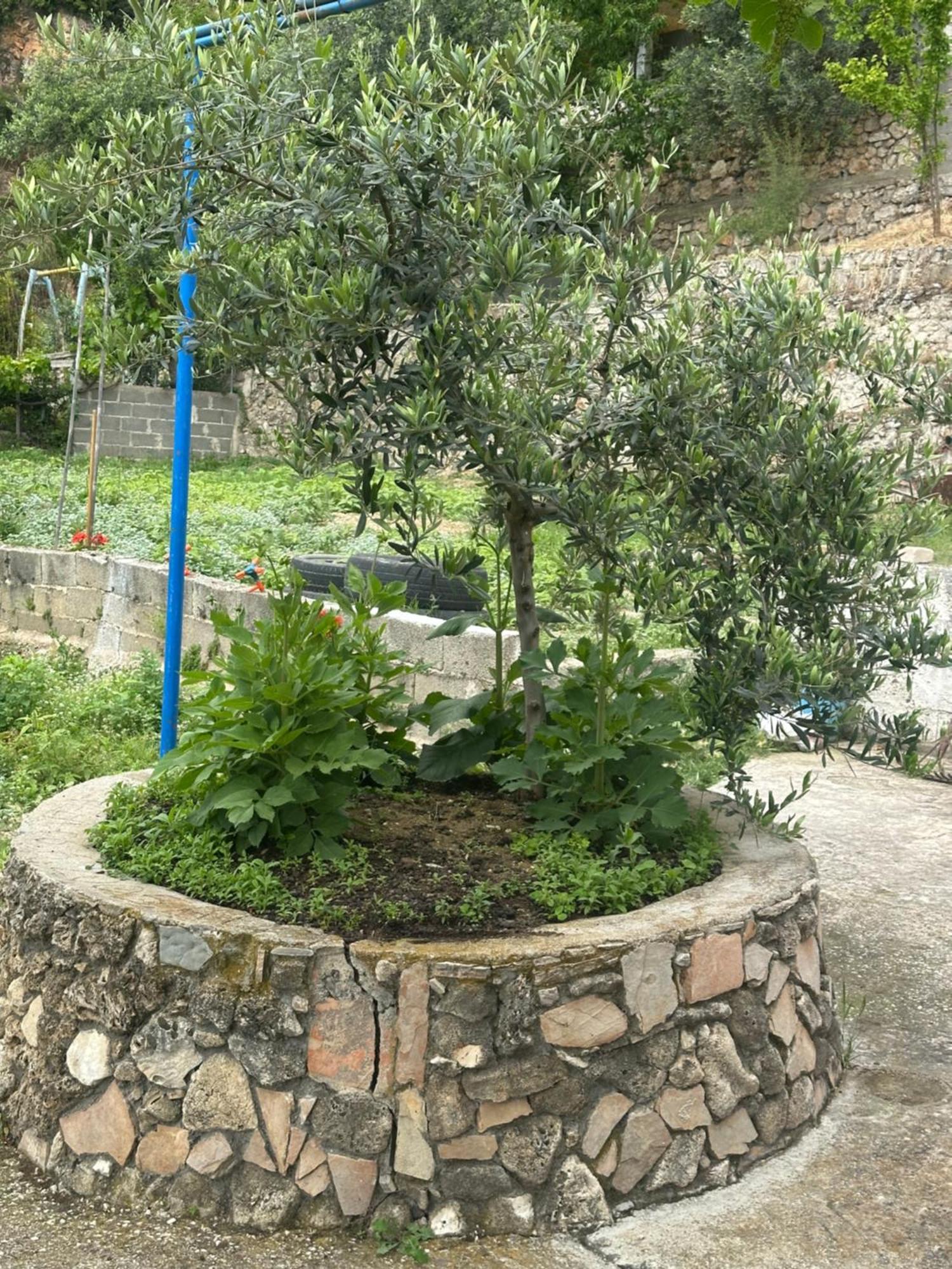 Romeo'S Guest House 2 Piqeras Εξωτερικό φωτογραφία
